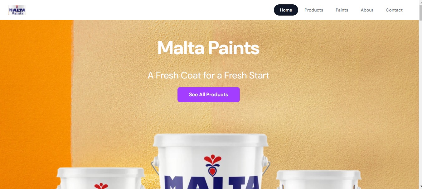 Malta painst website Image
